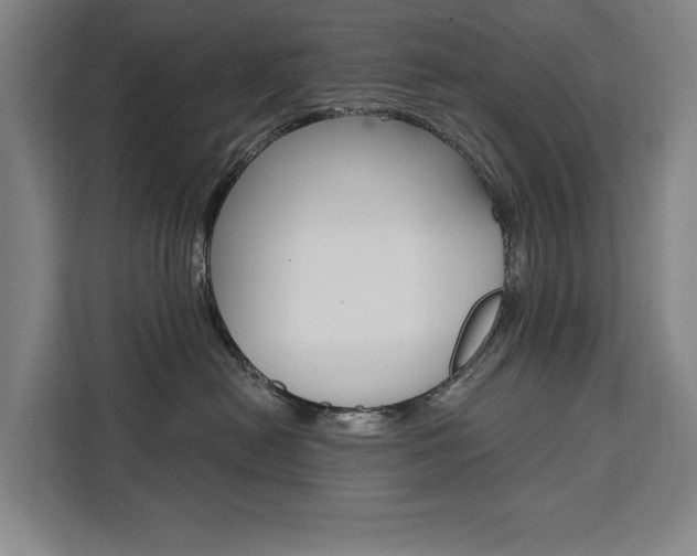 X0000111460478200907131222