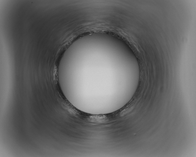 X0000111460480200907131222