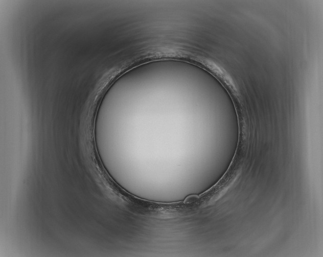 X0000111460481200907131221