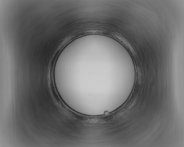 X0000111460482200907131221