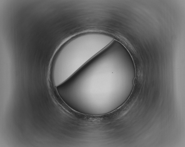 X0000111460484200907131221