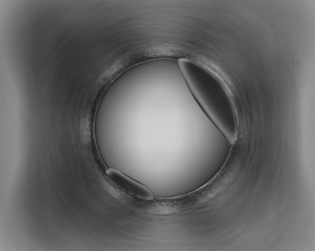 X0000111460489200907131221
