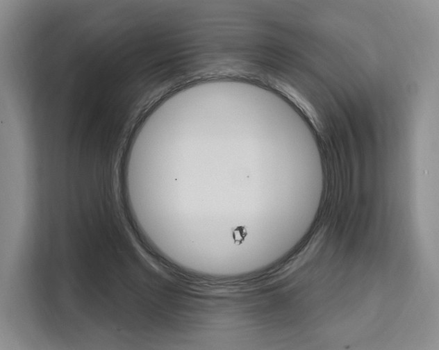 X0000111460493200907131221