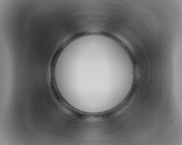X0000111460494200907131221