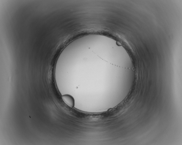 X0000111460495200907131221
