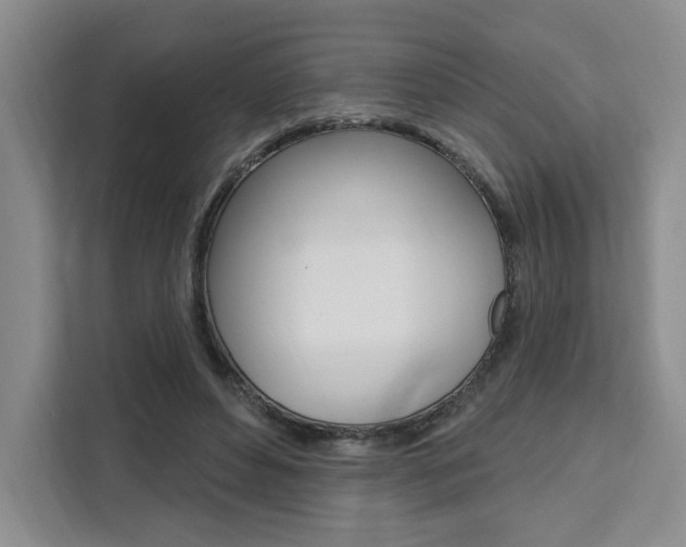 X0000111460496200907131221