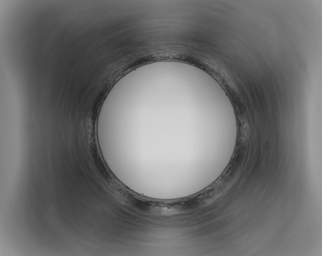 X0000111460498200907131221