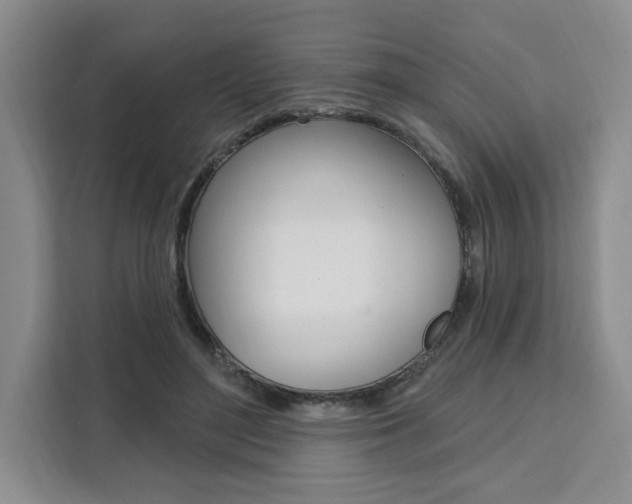 X0000111460500200907131221