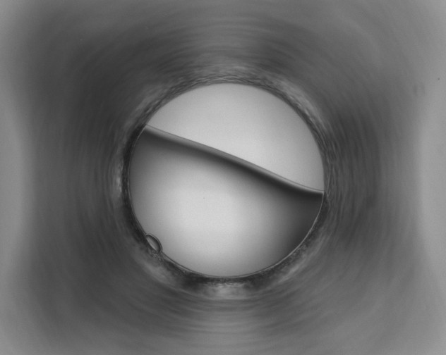 X0000111460501200907131221