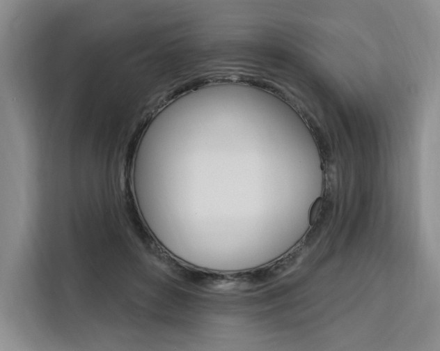X0000111460504200907131221