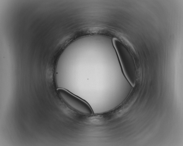 X0000111460505200907131221