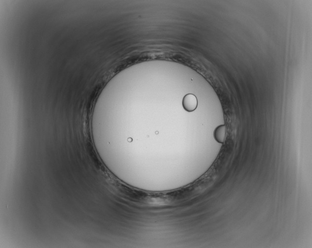 X0000111460510200907131221