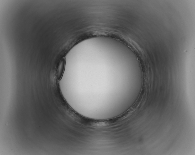 X0000111460513200907131221