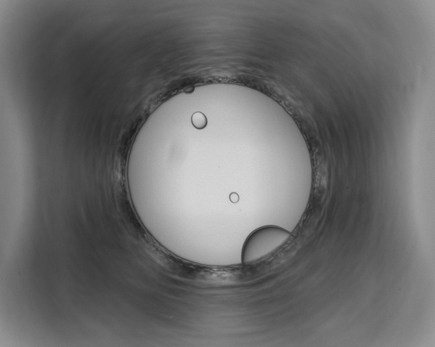 X0000111460518200907131221