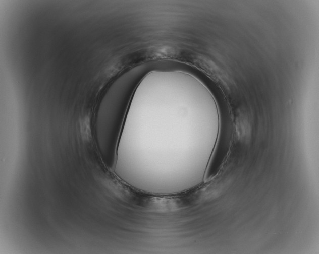X0000111460520200907131221