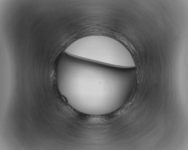 X0000111460521200907131221