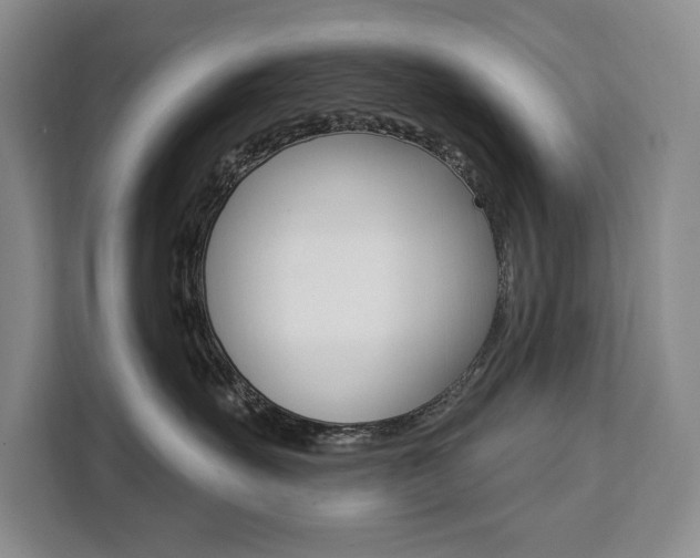 X0000111460527200907131220