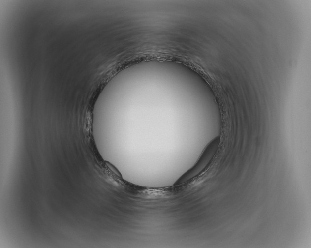 X0000111460528200907131220