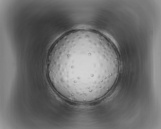 X0000111460529200907131220