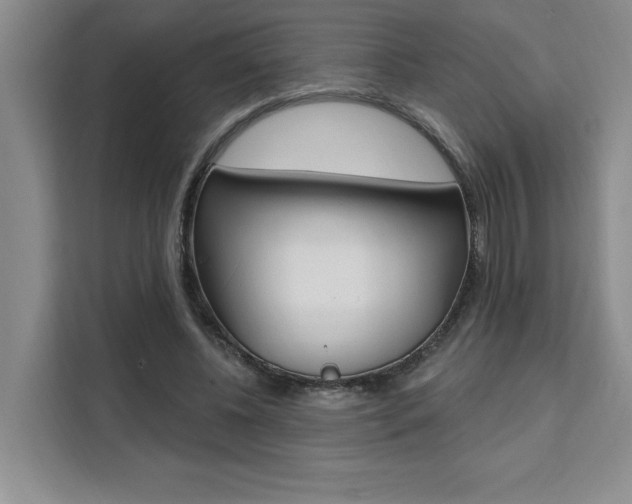 X0000111460540200907131220