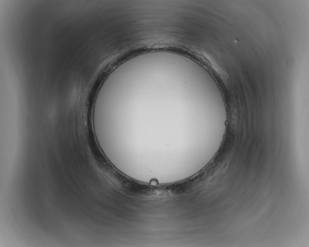 X0000111460543200907131220