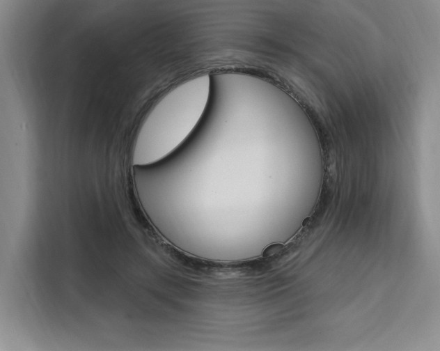 X0000111460547200907131220
