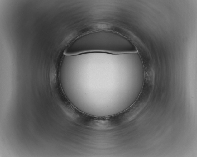 X0000111460552200907131220