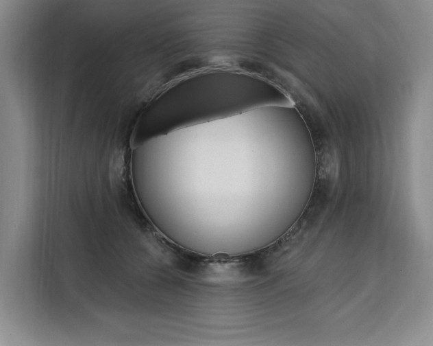 X0000111460560200907131220