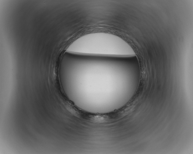 X0000111460566200907131220