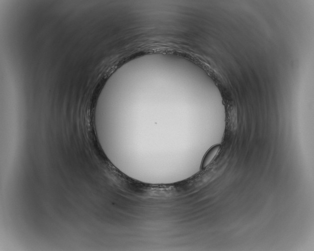 X0000111460571200907131220