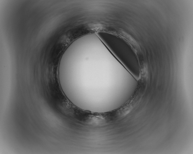 X0000111460572200907131220