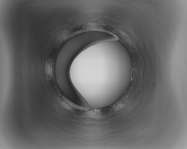 X0000111460576200907131220