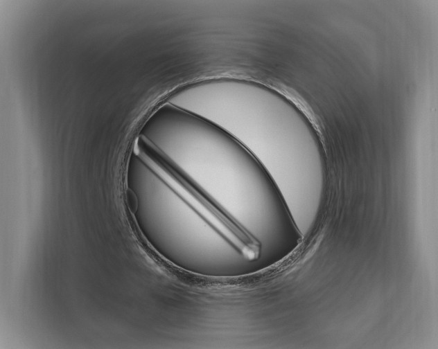 X0000111460577200907131220