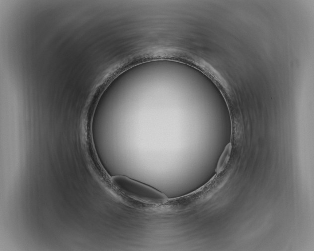 X0000111460581200907131220