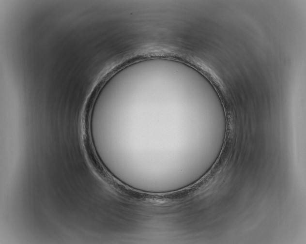 X0000111460582200907131220