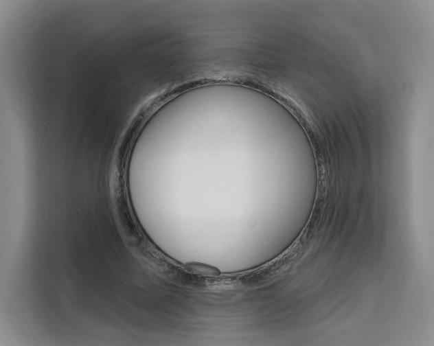 X0000111460587200907131220