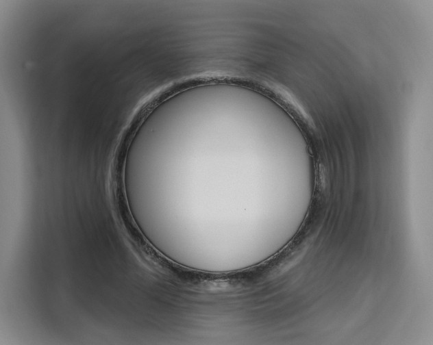 X0000111460588200907131220