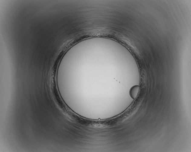 X0000111460590200907131220