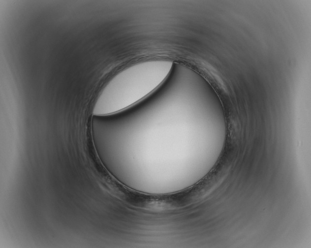 X0000111460596200907131220