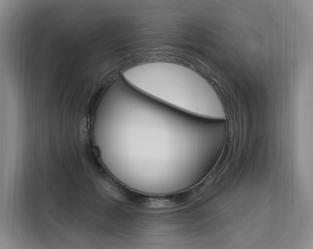 X0000111460605200907131219