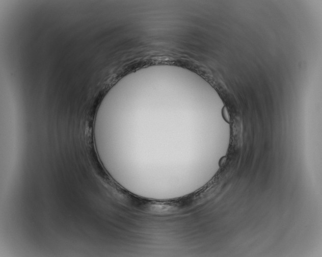 X0000111460614200907131219