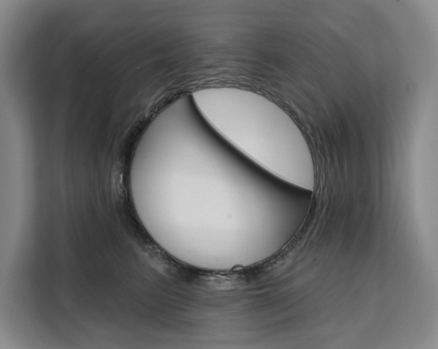 X0000111460615200907131219