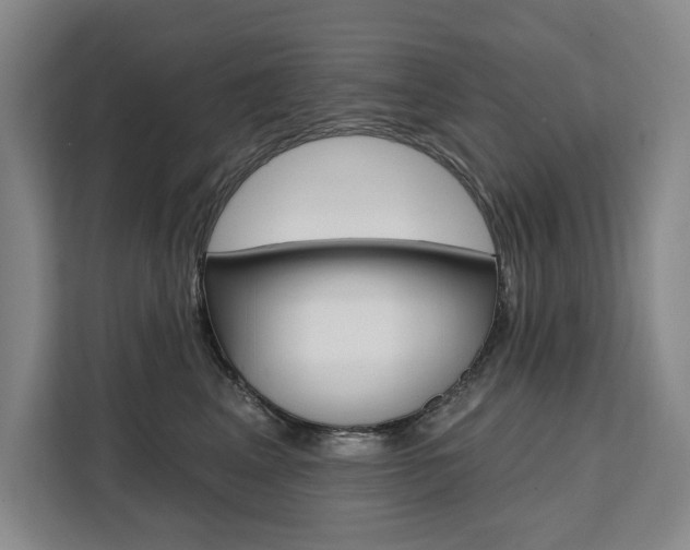 X0000111460617200907131219
