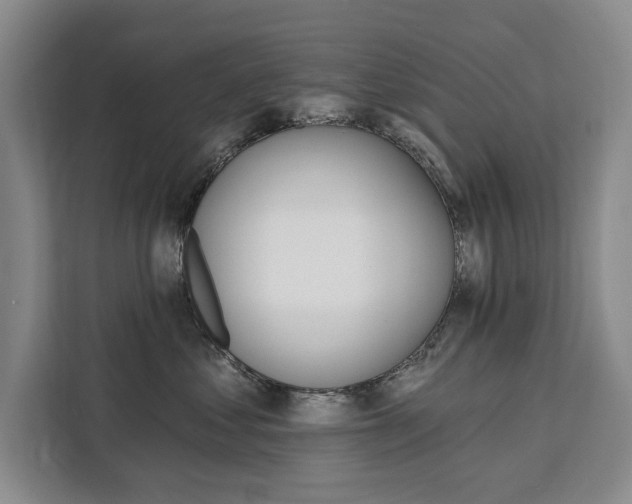 X0000111460621200907131219