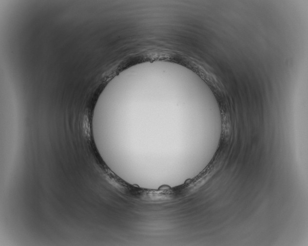 X0000111460622200907131219