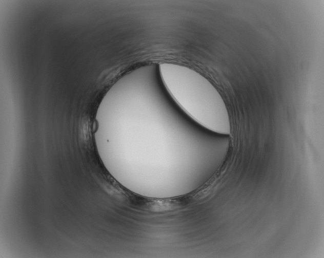 X0000111460623200907131219