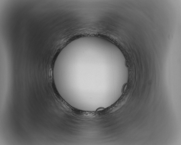 X0000111460624200907131219