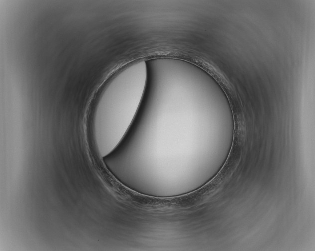 X0000111460626200907131219
