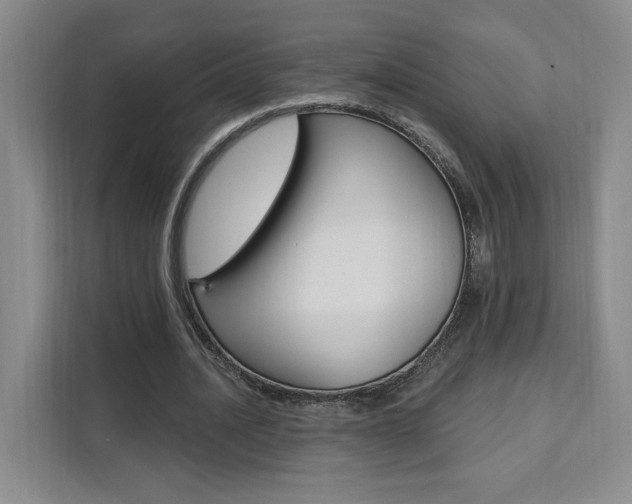 X0000111460628200907131219