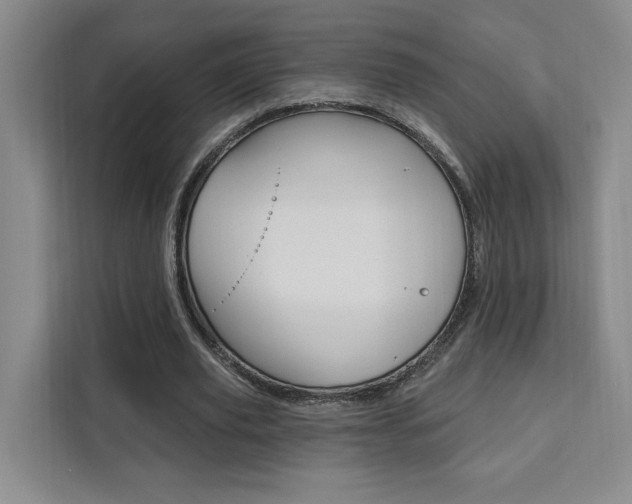 X0000111460629200907131219